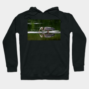 Great Blue Heron catches fish Hoodie